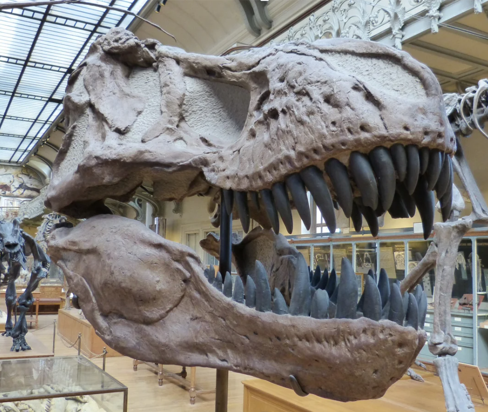 The Dinosaur – Issue 2