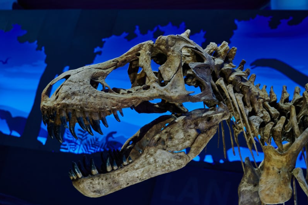 The Dinosaur – Issue 5