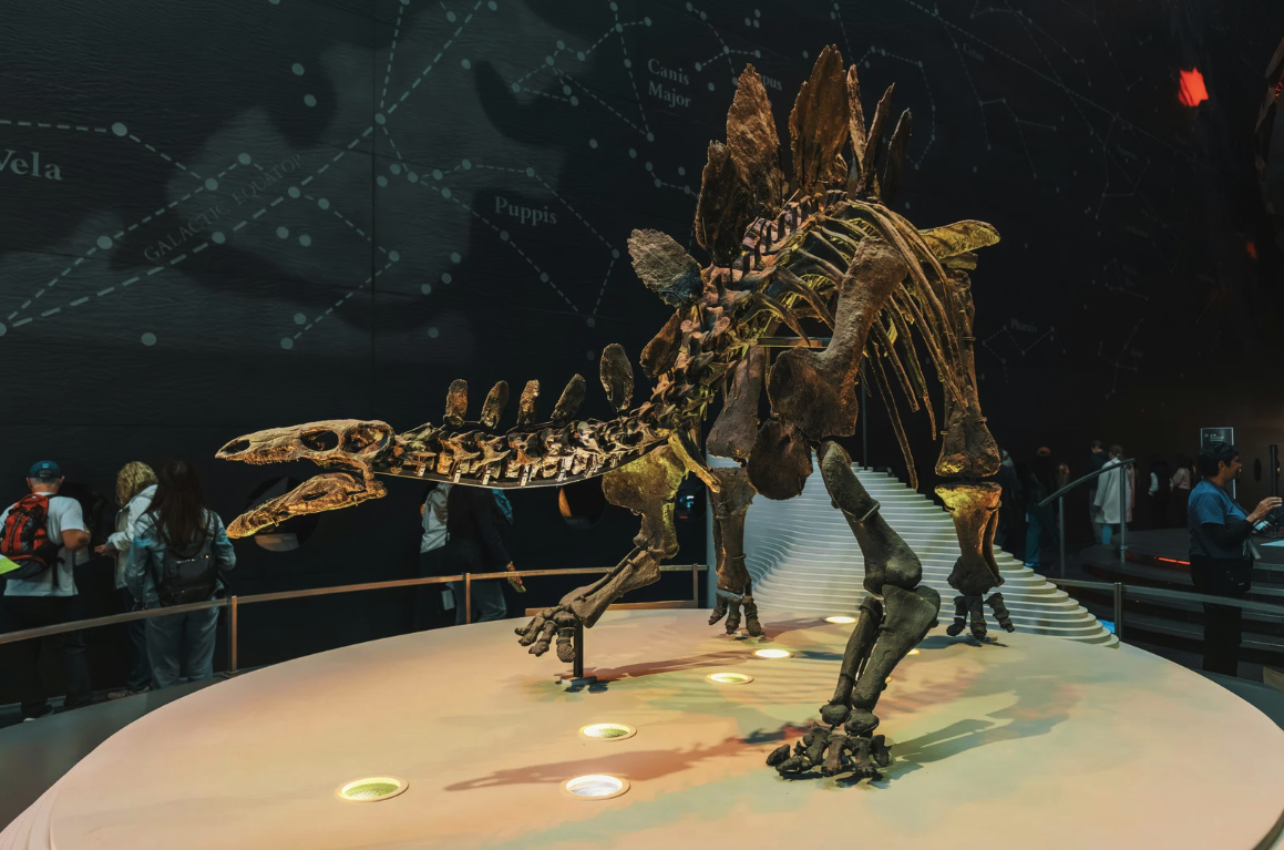 The Dinosaur – Issue 8