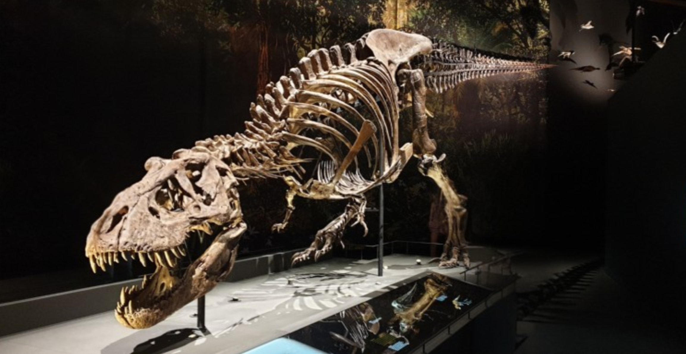 The Dinosaur – Issue 12